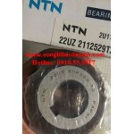 VÒNG BI BẠC ĐẠN LỆCH TÂM NTN-NSK-KOYO-FAG-NACHI-SKF 22UZ2112529T2